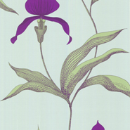 Orchid (66-4027)